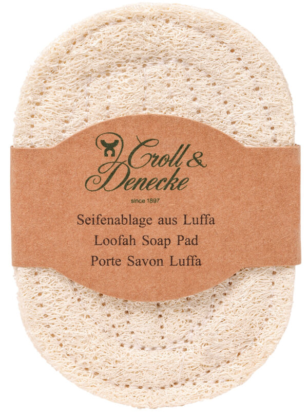 Luffa seebialus Croll & Denecke