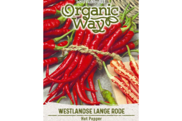 Terav pipar Westlandse Langde Rode maheseemned Organic Way